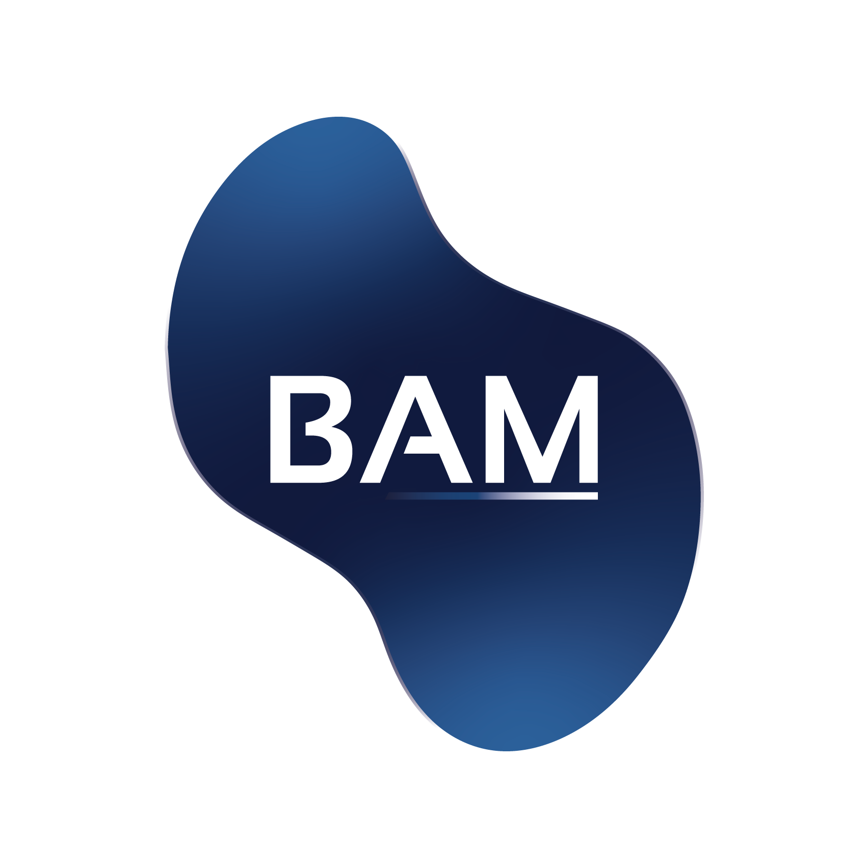 Boston Asset Manager